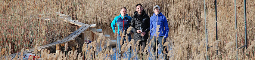 Group photo of reed belt (c) Geoecology