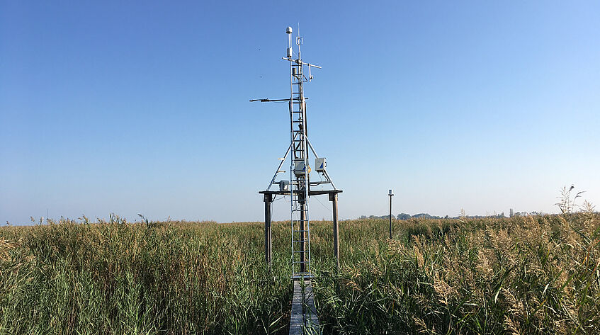 Eddy-Covariance tower in the reed belt of Lake Neusiedl near Illmitz (c) Pamela Baur