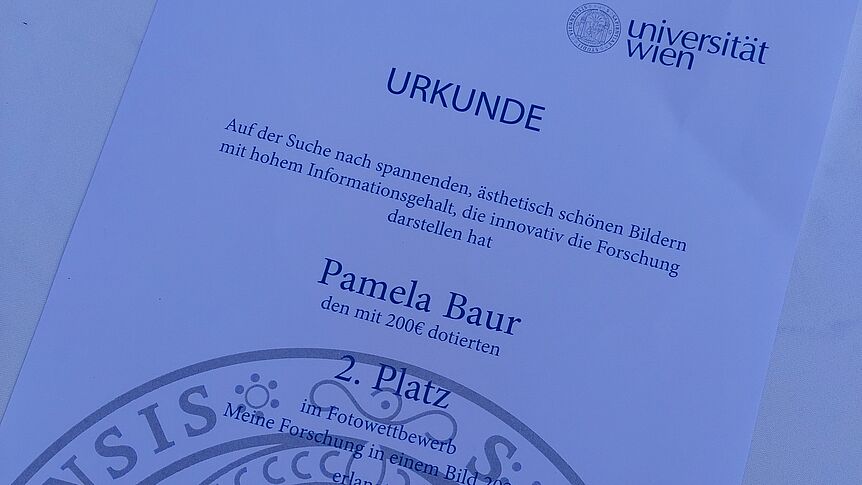 Certificate of the 2nd price (c) Pamela Baur